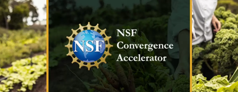 NSF Convergence Accelerator